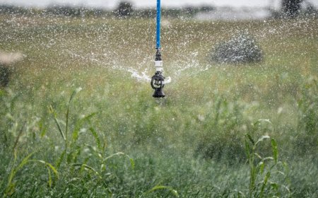 Situación hídrica es mejor de lo que se esperaba, dijo jerarca del MGAP