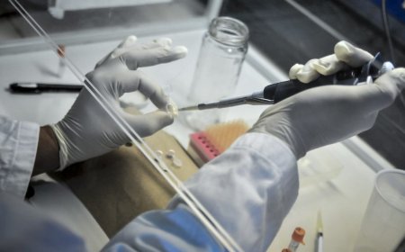 Destacan importancia de que mujeres se hagan el test de VPH