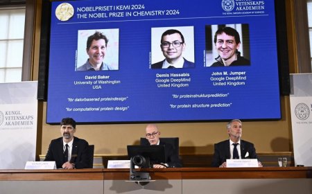 Nobel de Química para el diseño computacional de proteínas y predicción de su estructura