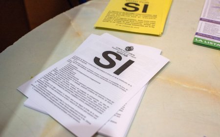 Plebiscitos: ninguno de los dos fue aprobado