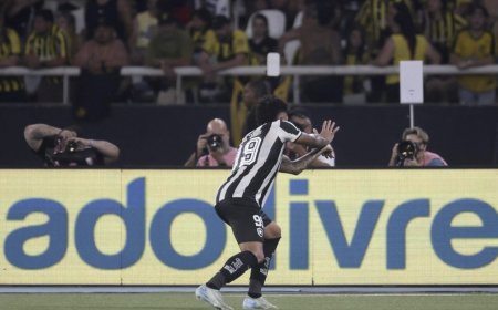 Botafogo ganó con un gol en la hora y puso los titulares