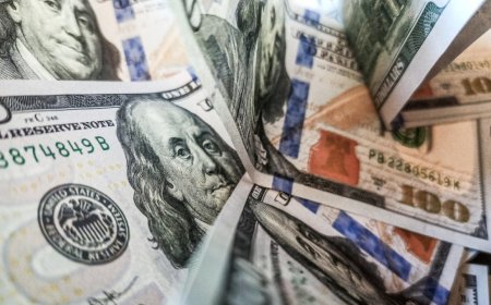 Exportaciones aumentan un 0,4% en octubre y totalizan 716 millones de dólares