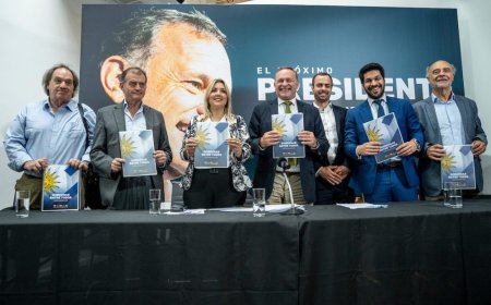 «Más de 400 propuestas»: así presentó Delgado el programa de la coalición