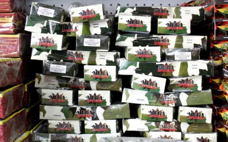 Colectivos realizarán conversatorio sobre pirotecnia sonora y sus efectos en personas, animales y medioambiente