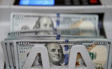 El dólar volvió a subir y alcanzó un nuevo máximo a nivel anual