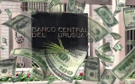 El dólar no frena y alcanzó un nuevo máximo en 32 meses