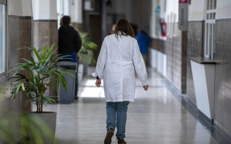 La falta de especialistas en el interior se debe a formación centralizada en Montevideo