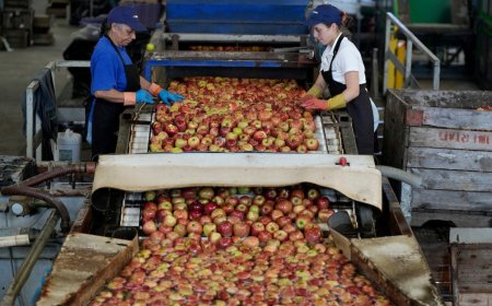 Comisión Nacional de Fomento Rural recibió con optimismo «proteccionismo» a la granja