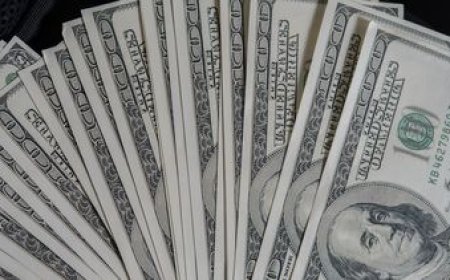 El dólar volvió a trepar y se consolida en la franja de los $43