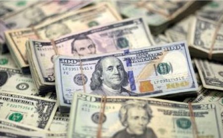 El dólar superó los $ 44 y consolida su rally alcista