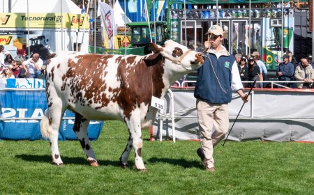 Bachillerato Agrario asegurará la continuidad educativa en la Facultad de Veterinaria