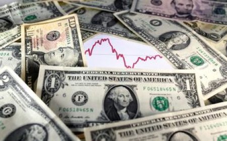 El dólar cerró el año con un aumento del 12,93%