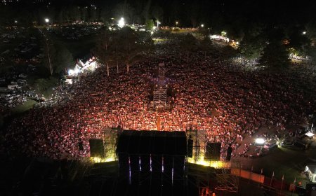 Llamados para explotación de puestos de venta en Movida Tropical, Festival de Folklore y Encuentro Gaucho
