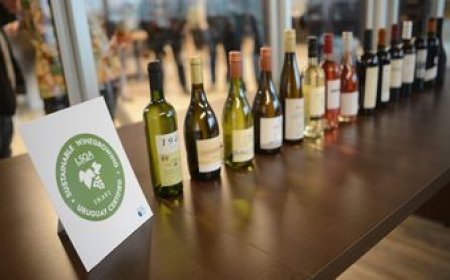 Las exportaciones de vino aumentaron 40% en 2024
