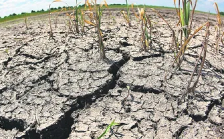 ¿Otra sequía?, alertan por una probabilidad del 60% de que vuelva La Niña