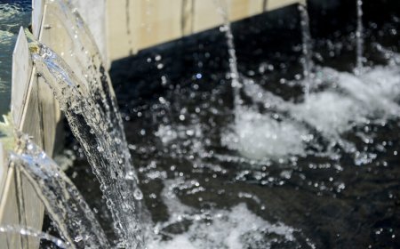 Organizaciones cuestionan contrato del proyecto Arazatí y no descartan acciones legales