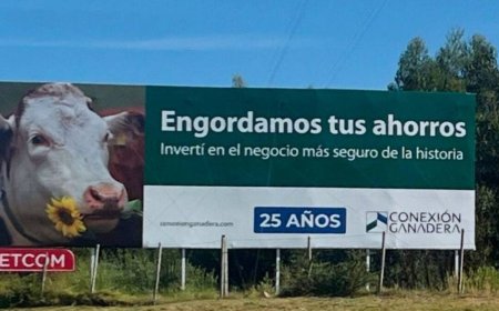 Nueva denuncia por fondos ganaderos: solicitan congelar activos de Conexión Ganadera