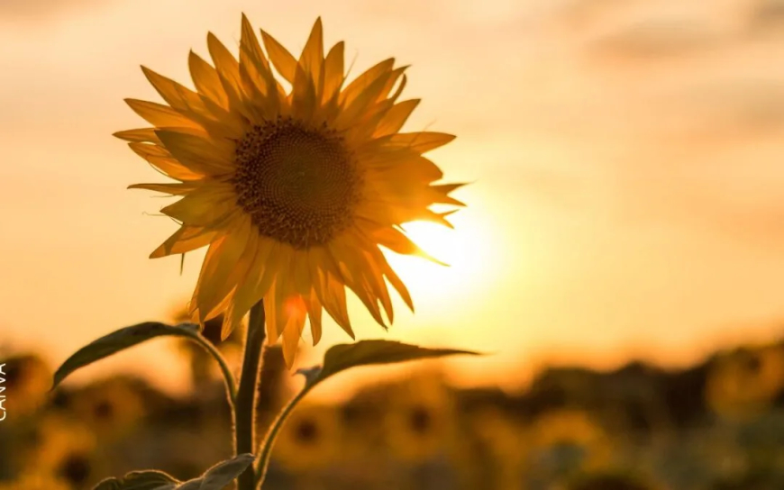 Entre febrero y marzo lloverá menos a lo normal con temperaturas superiores a las habituales
