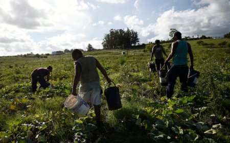 Informalidad de Artigas triplica a la de Montevideo, según informe del INE