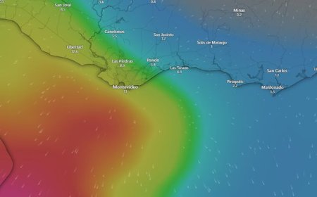 “Va a ser un sauna”: meteorólogo advierte sobre efecto combinado de la lluvia y el calor