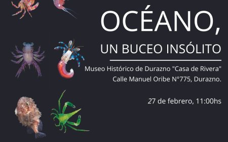 Museo Casa de Rivera inaugura la exposición “Océano, un buceo insólito” con apoyo de la Embajada de Francia