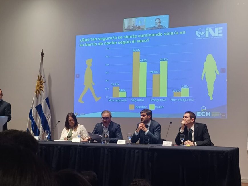 Encuesta Continua de Hogares: 34,5 % se siente inseguro en su barrio al caminar de noche