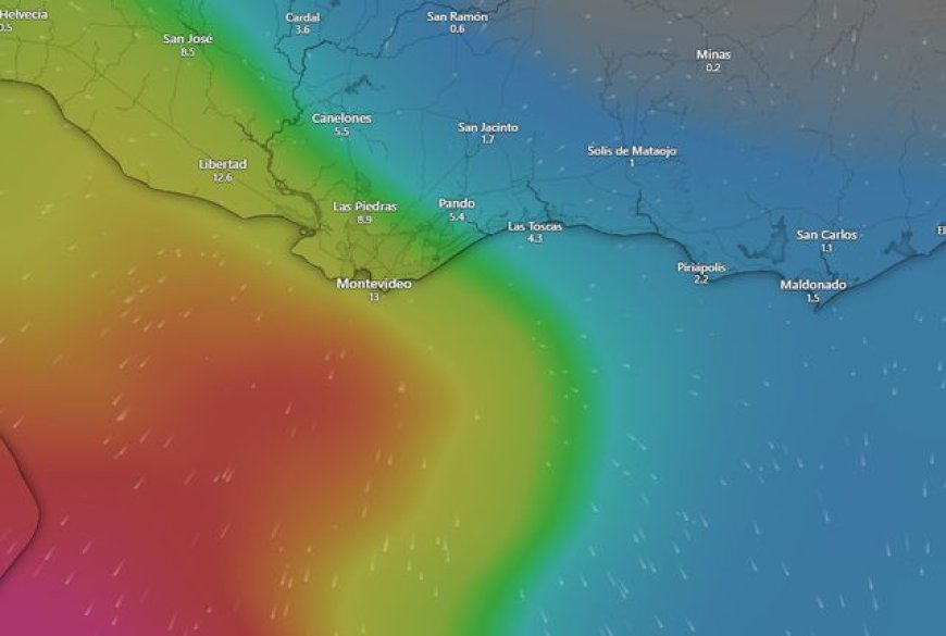 “Va a ser un sauna”: meteorólogo advierte sobre efecto combinado de la lluvia y el calor