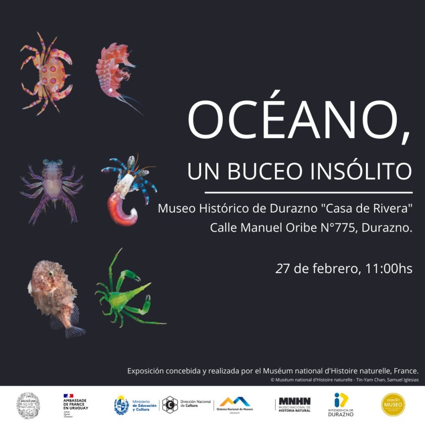 Museo Casa de Rivera inaugura la exposición “Océano, un buceo insólito” con apoyo de la Embajada de Francia