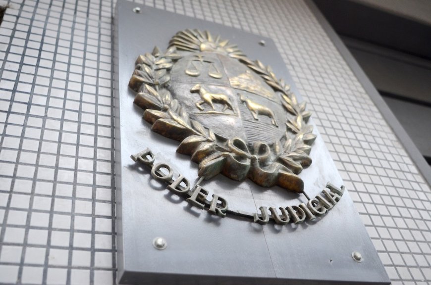 Declaran concurso de otras dos empresas asociadas a Conexión Ganadera