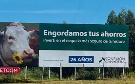 Conexión Ganadera: es imposible que los inversores recuperen su dinero, consideró Eduardo Blasina