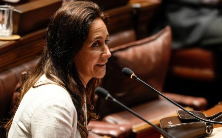 Diputados analiza creación de una comisión investigadora sobre la gestión de la pandemia