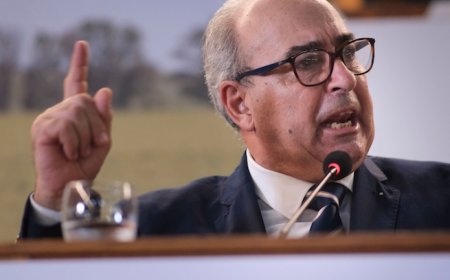 Uruguay exportará un millón de lanares a Argelia