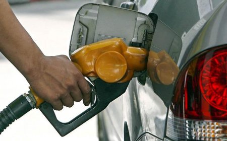Gobierno anuncia baja en el precio del gasoil y mantiene sin cambios la nafta en abril