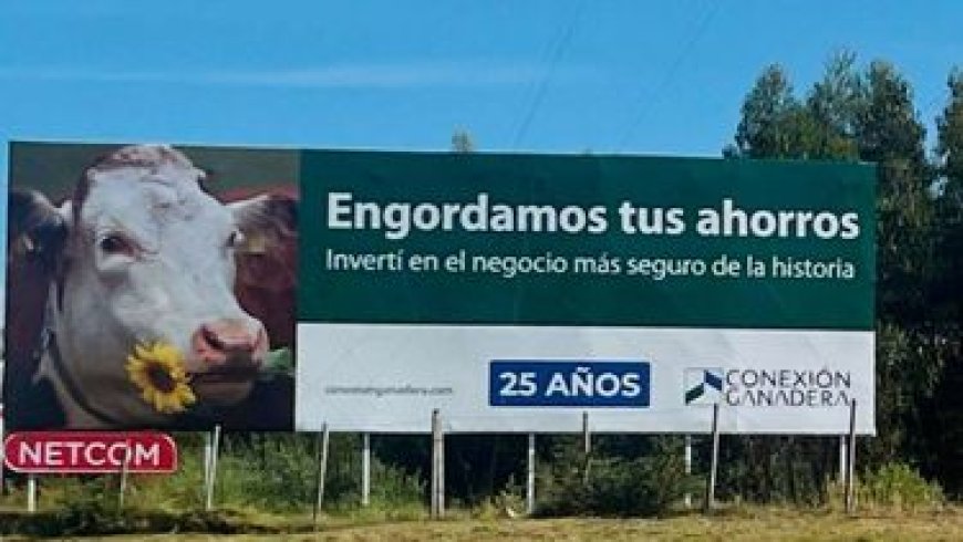 Conexión Ganadera: es imposible que los inversores recuperen su dinero, consideró Eduardo Blasina
