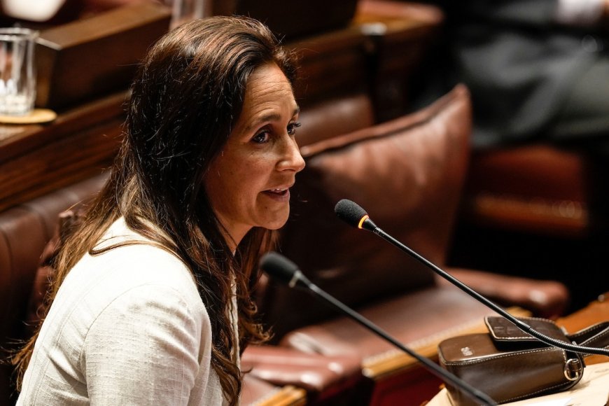 Diputados analiza creación de una comisión investigadora sobre la gestión de la pandemia