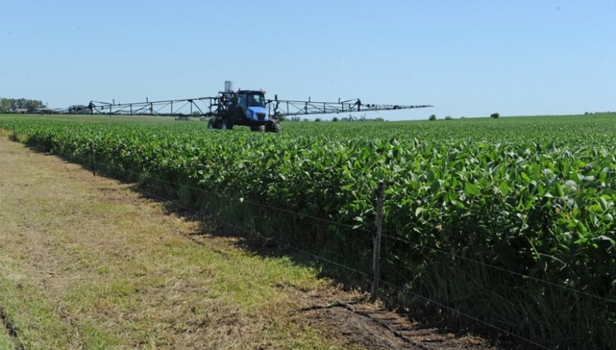 La "zona núcleo" del sector agrícola estival, puede llegar superar los 3.000 kg de soja
