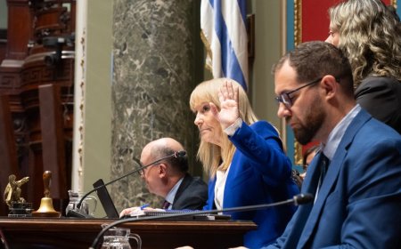 Senado aprobó proyecto para apoyar recuperación de Casmu