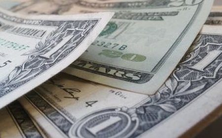 El dólar vuelve a superar los $ 43 y alcanza su valor más alto en dos meses