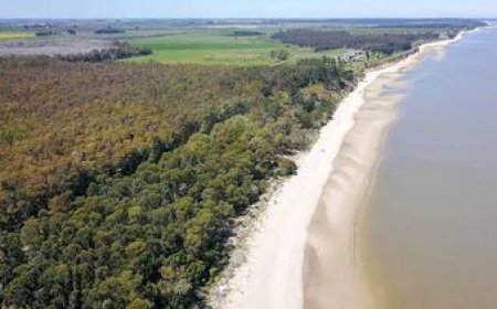 El gobierno pausa el inicio del proyecto Arazatí para renegociar el contrato por 90 días