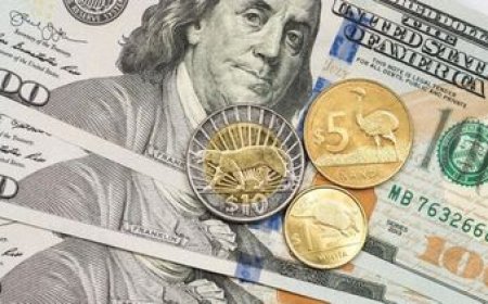 El dólar cayó 1,03% en una semana marcada por la guerra comercial global y el fin del cepo argentino