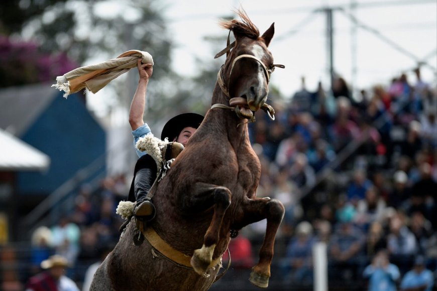Empieza la 98.ª edición de la Semana Criolla