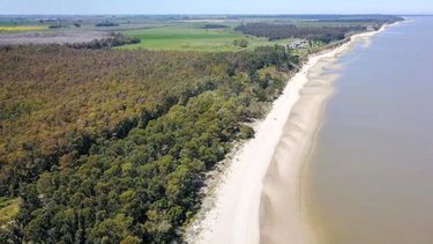 El gobierno pausa el inicio del proyecto Arazatí para renegociar el contrato por 90 días