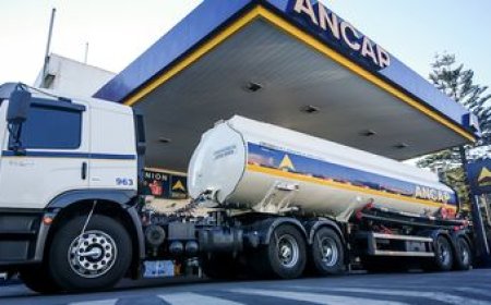 La polémica por el balance de Ancap llega al Parlamento