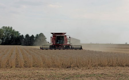 Joven murió luego de que la cosechadora en la que trabajaba enganchó cables de alta tensión de UTE