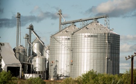 La cosecha de arroz superó el 90 % en una zafra récord
