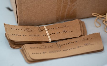 Los nuevos intendentes asumirán en julio