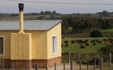 Anuncian que erradicarán agrupamientos rurales irregulares en el Día de la Vivienda Rural