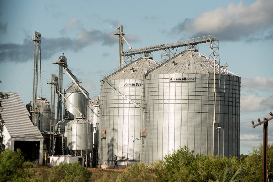 La cosecha de arroz superó el 90 % en una zafra récord