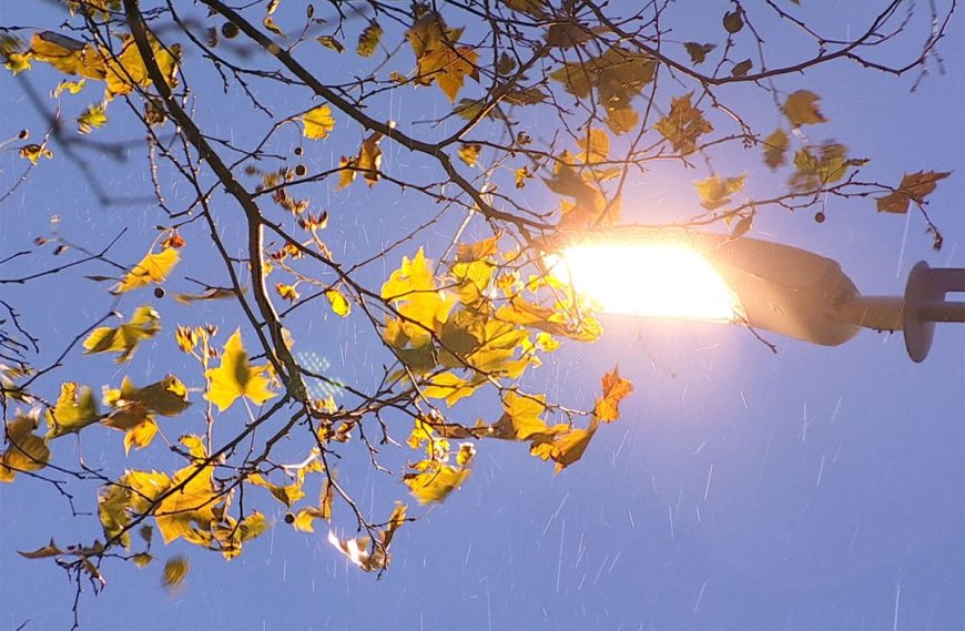 Se instala el frío y las heladas, con mínimas de 4°