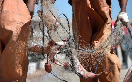 Pesca: Dinatra convocó a empresarios sindicato con el objetivo de 'no perder la zafra'